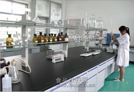 食品級氯化鎂工廠質量標準與應用研究